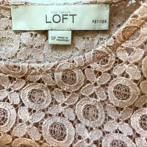 LOFT Rose Gold Lace Cap Sleeve Top SP
